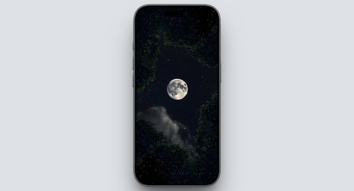 Moon through forest frame