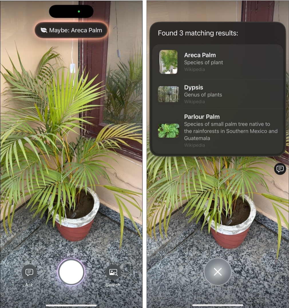Use Visual Intelligence to identify animals and plants.