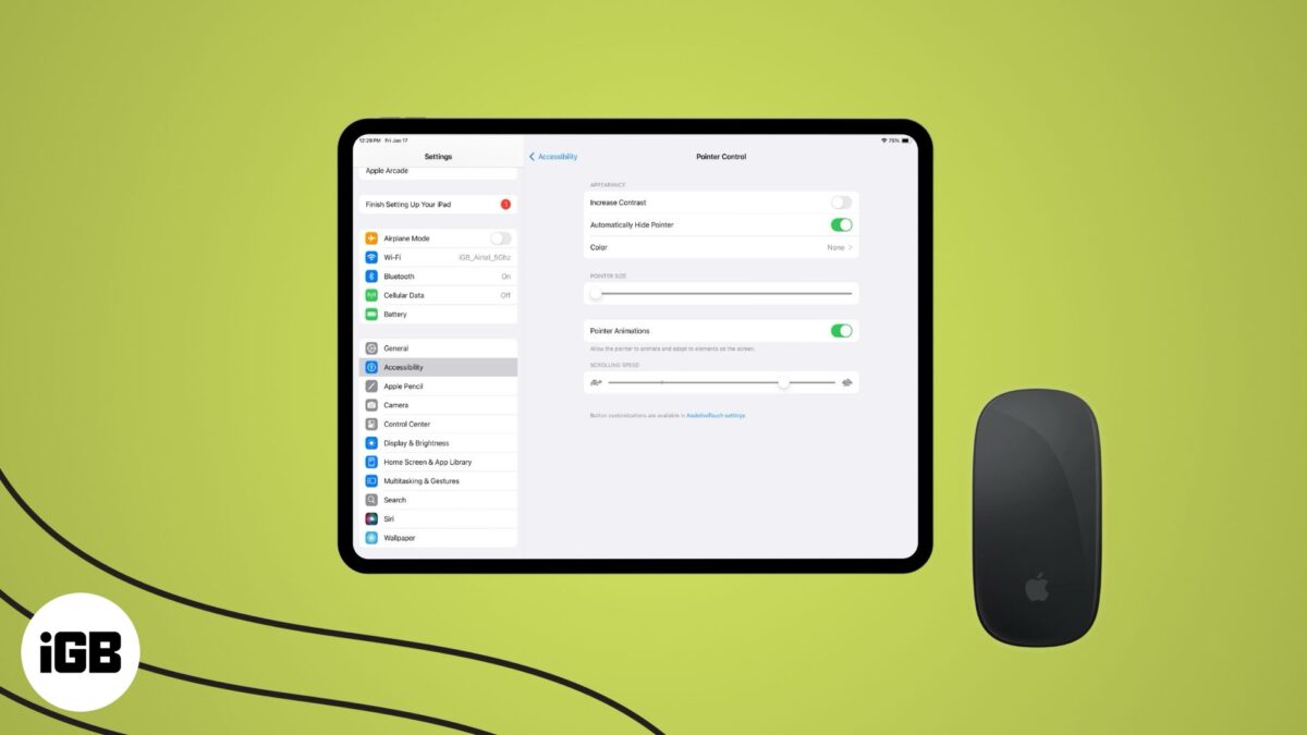 Use a mouse with ipad