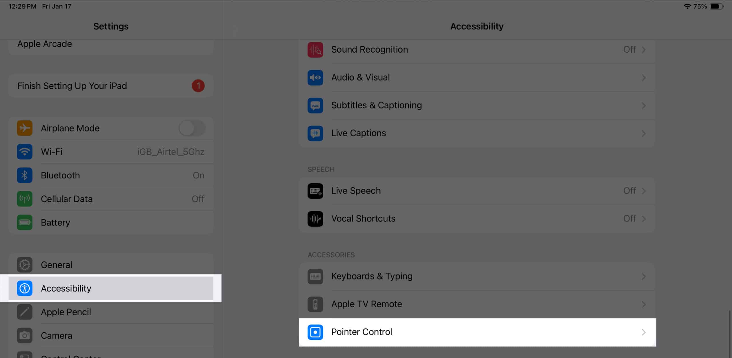 Accessing Pointer Control settings on an iPad.