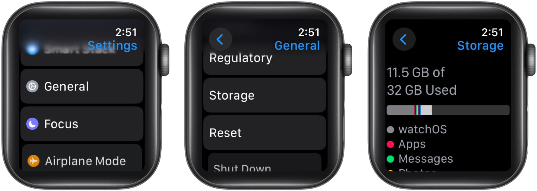 Accessing the Storage page on an Apple Watch.