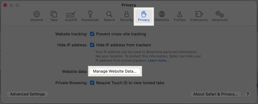 Click on Manage Website Data button in Privacy tab on Safari settings.
