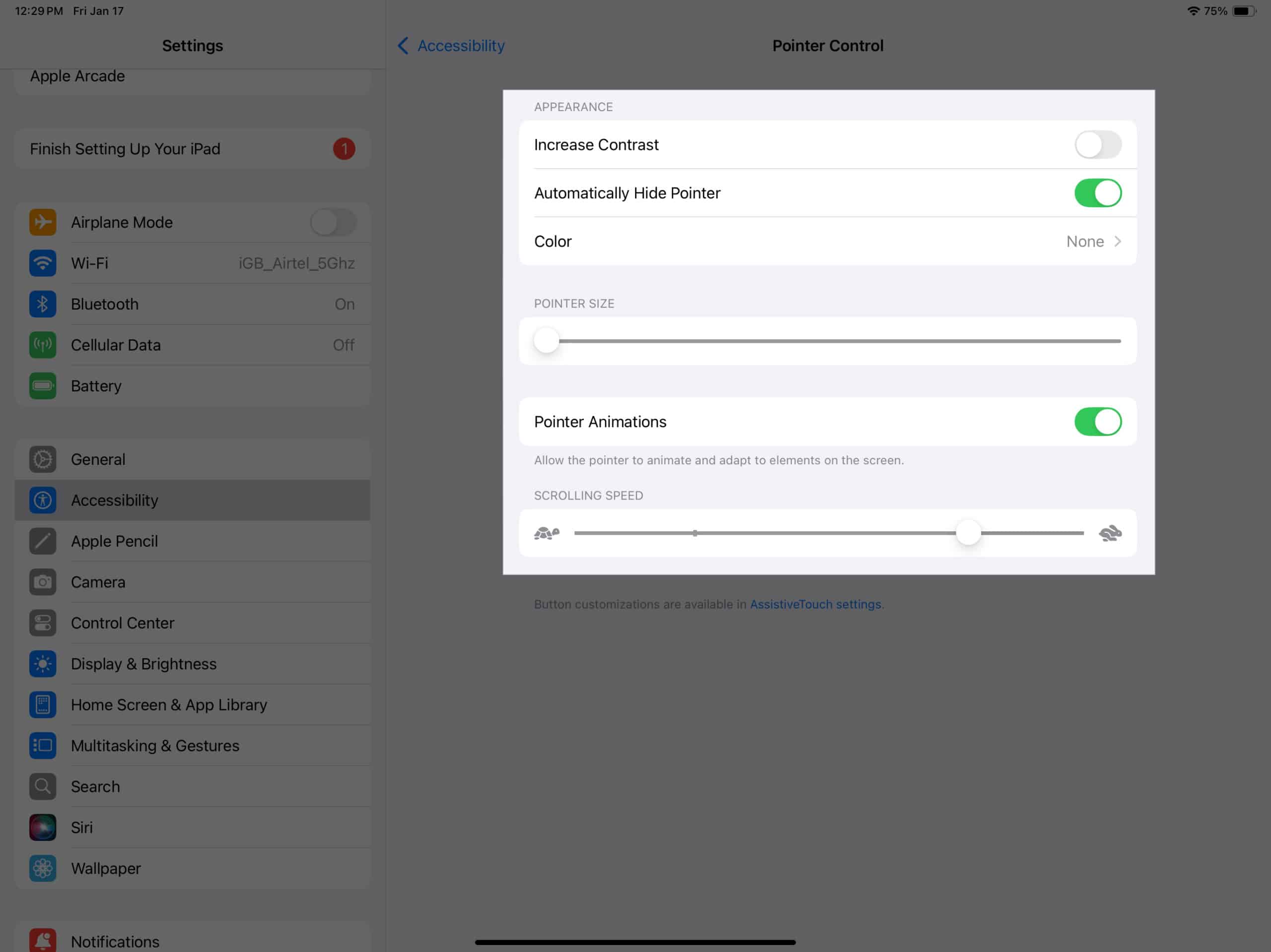 Customizing Pointer Control settings on an iPad.