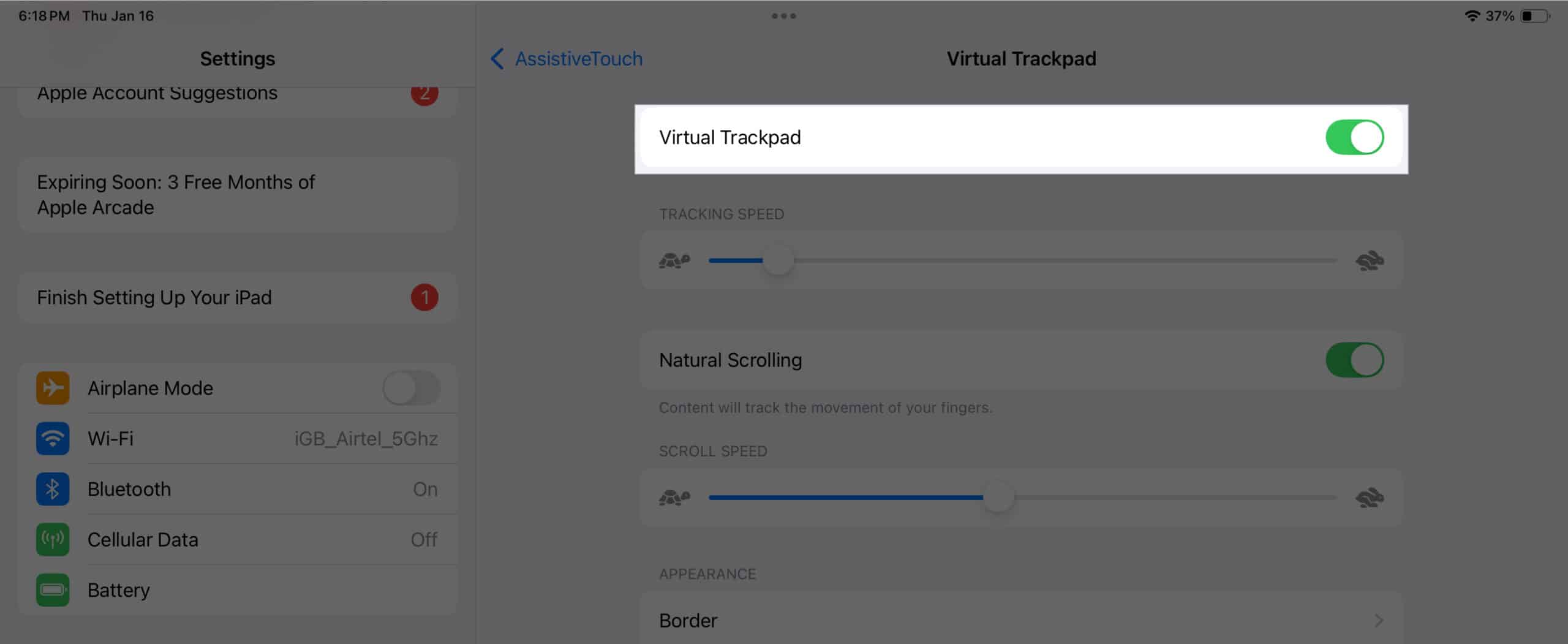 Enabling Virtual Trackpad on an iPad.