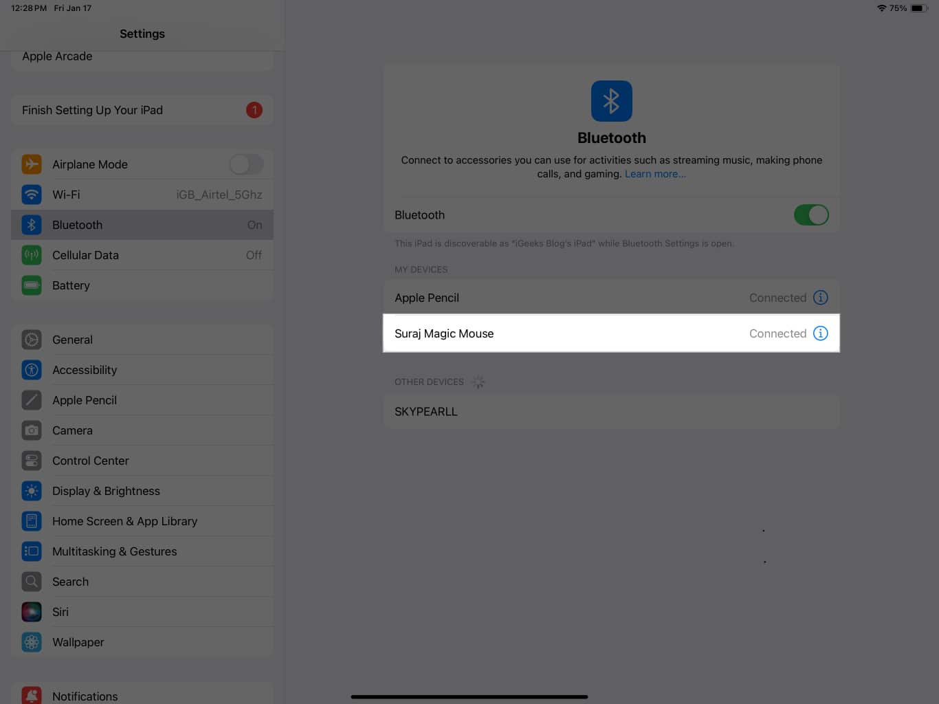 Paired Bluetooth mouse appearing under the My Devices section in the Settings app on an iPad.