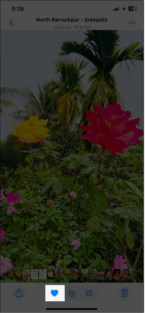 Tap on heart icon to add image in Featured Photo section in Photos app.