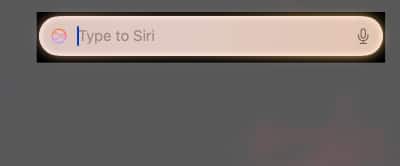 Type to Siri text box on a Mac.