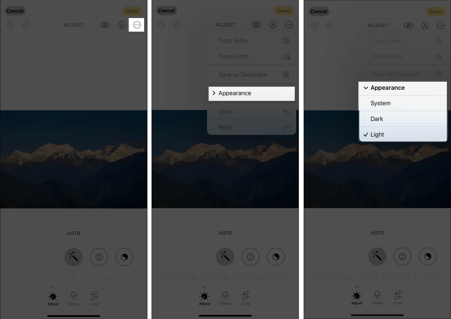 Edit media in light and dark theme on iPhone.