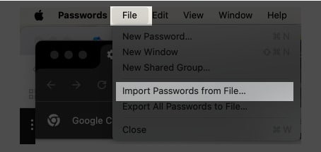 Open Passwords app verify Touch ID and import passwords from file.