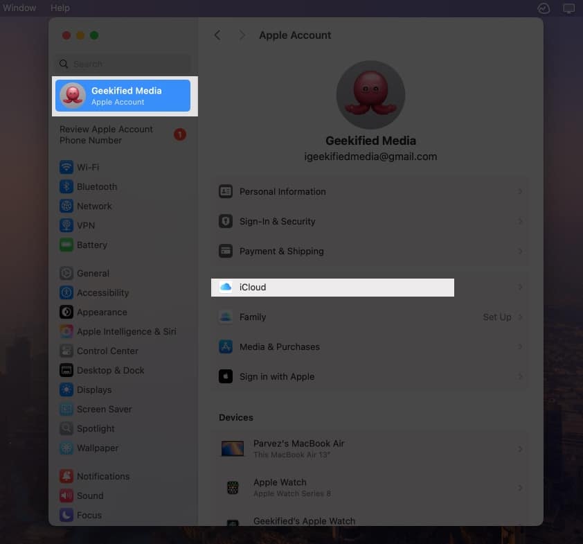 Open System Settings on Mac and navigate to iCloud under your name.