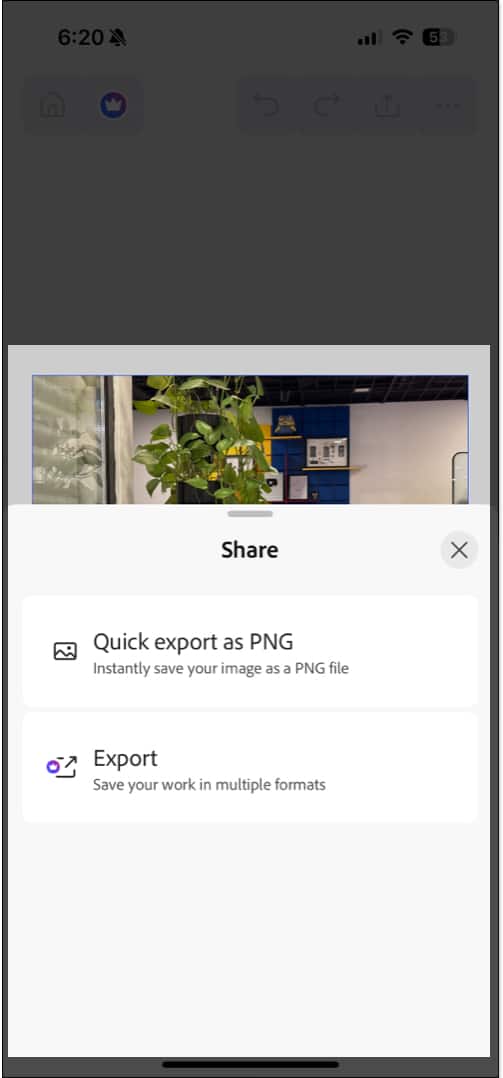 Share options for the iOS Photoshop app on an iPhone.