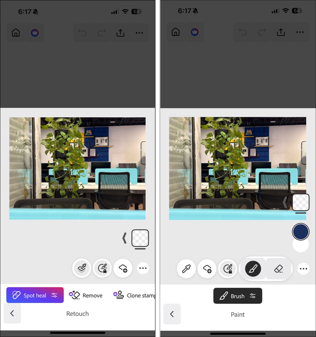 Retouch and Paint tools in the iPhone Photoshop app.