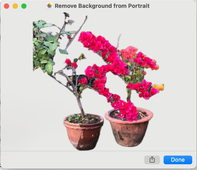 Remove background from portrait siri shortcuts