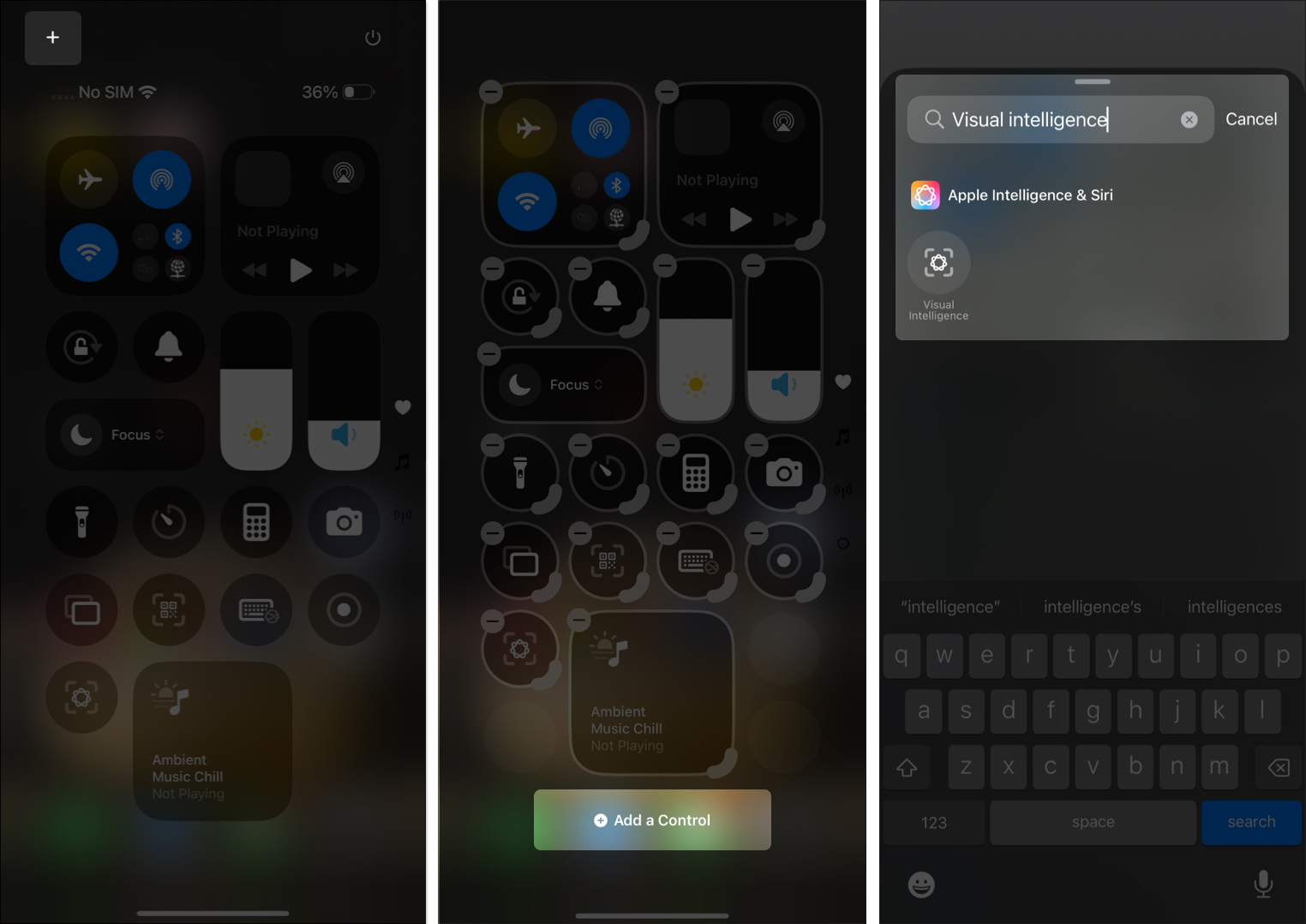 Add visual intelligence from control center on iphone