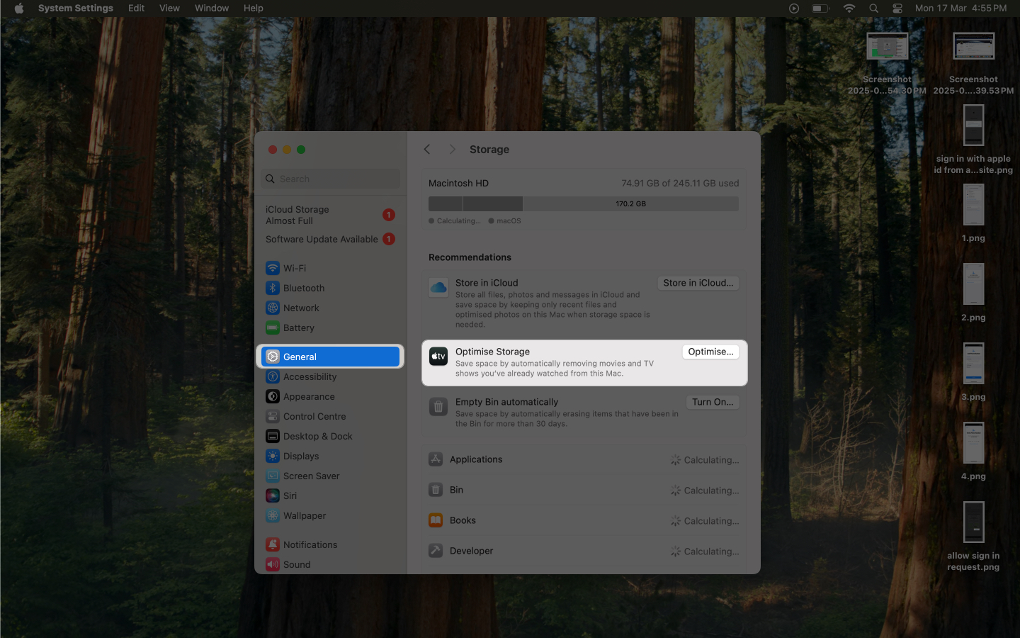 Optimize storage option in macos system settings on a mac
