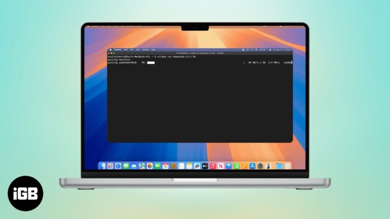 How to run an LLM locally on your Mac.