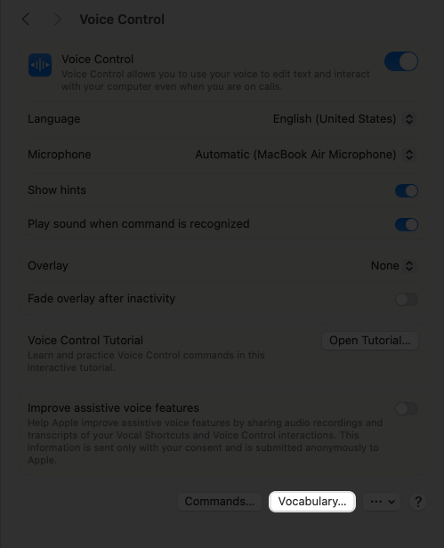 Access vocabulary from voice control settings