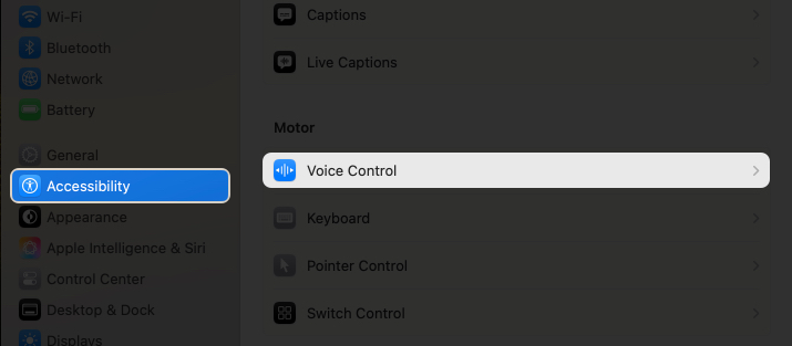 Click on voice control option in settings on mac