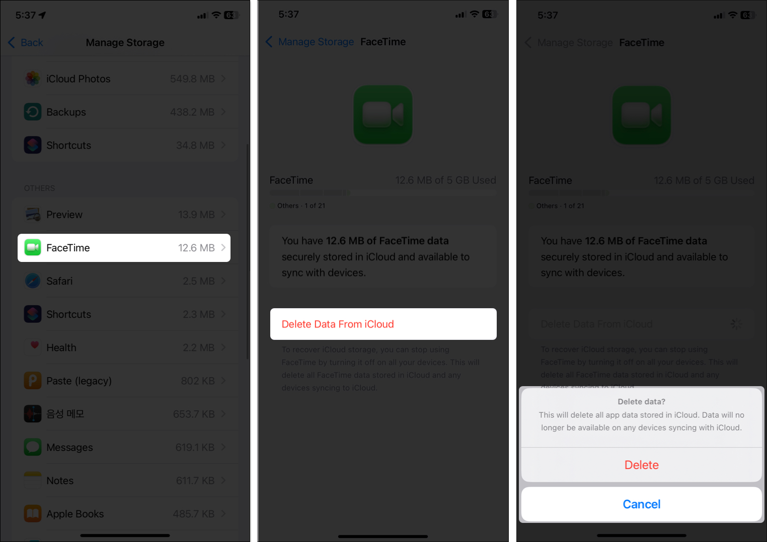 Delete facetime data from icloud on iphone