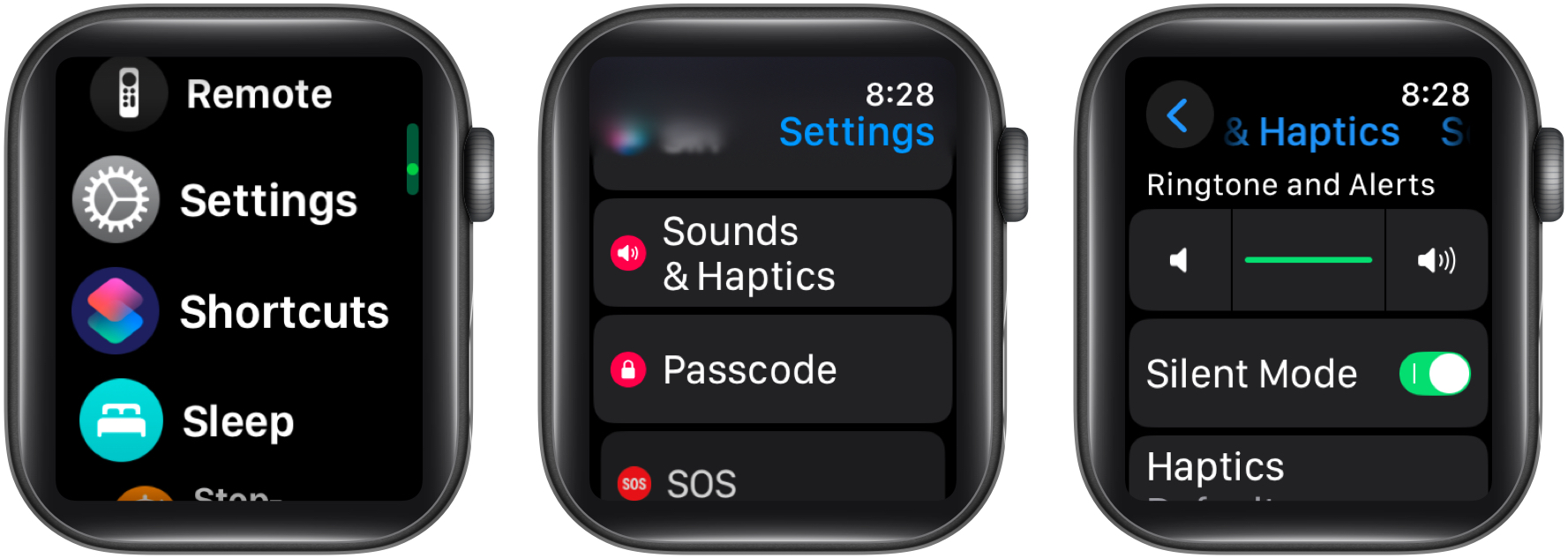 Enabling silent mode in the settings app on an apple watch