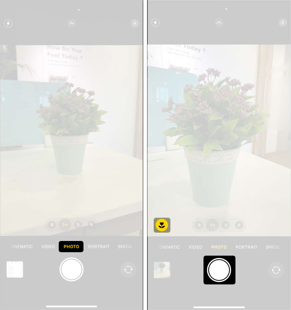 Taking a macro photo using the camera app on an iphone