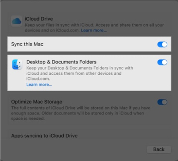 Toggling on the sync this mac option for drive on a mac