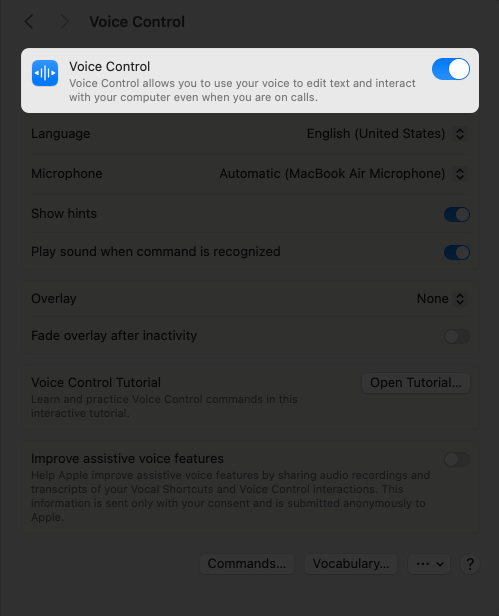 Toggle on voice control from mac settings