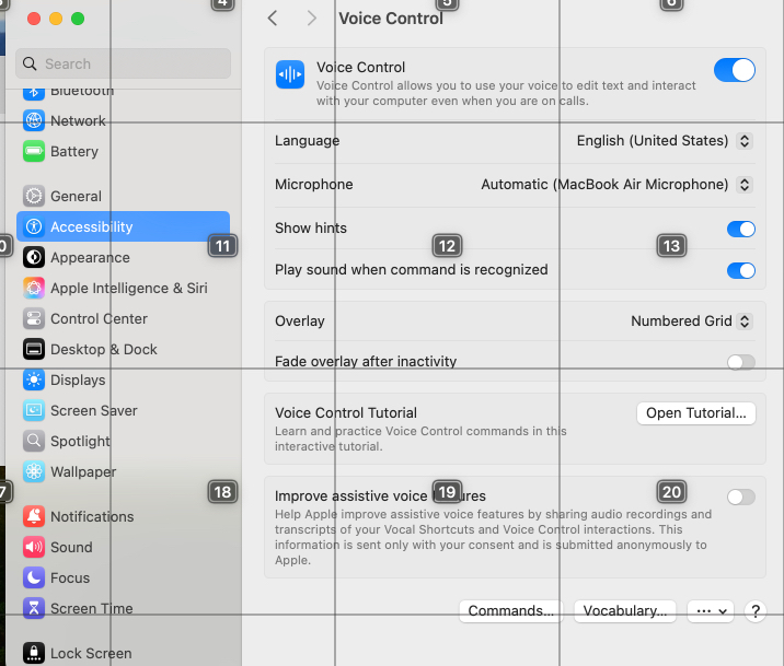 Use grid overlay in voice control