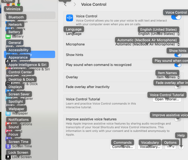 Use name overlay in voice control