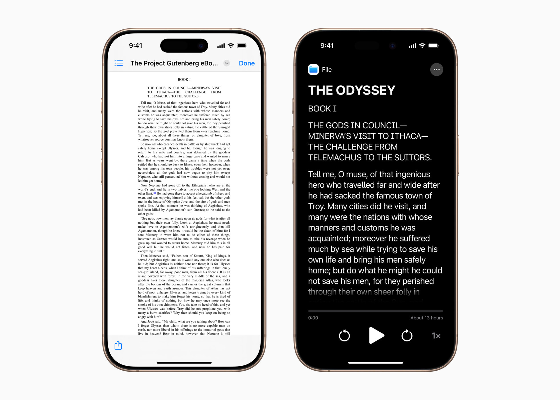 Accessibility reader