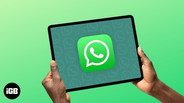 WhatsApp Teases Native iPad App.