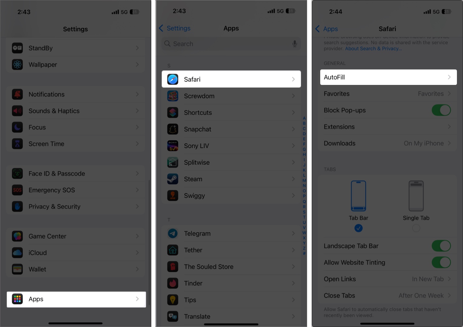 Accessing the safari autofill option in the iphone settings app