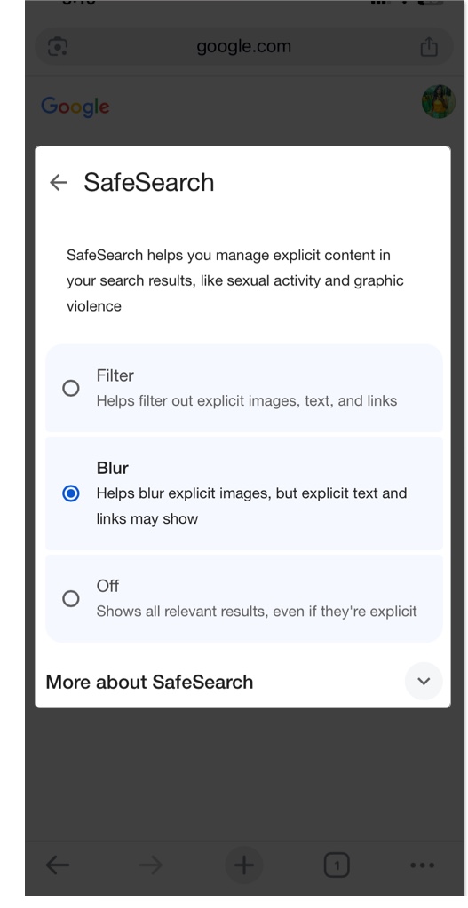 Adjust safesearch on google browser settings