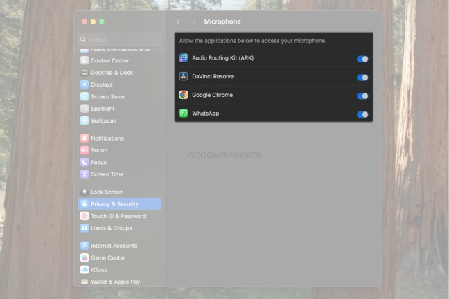 Granting microphone access to apps on a mac