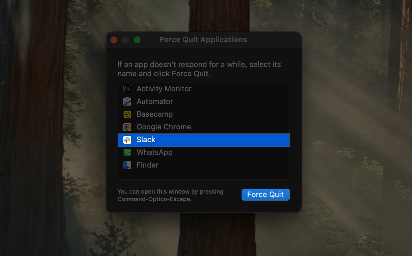 Force quitting the slack app on a mac from the force quit applications window