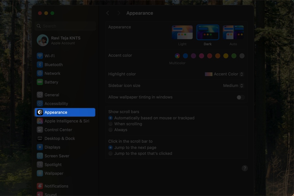 Accessing the appearance options in macos system settings app