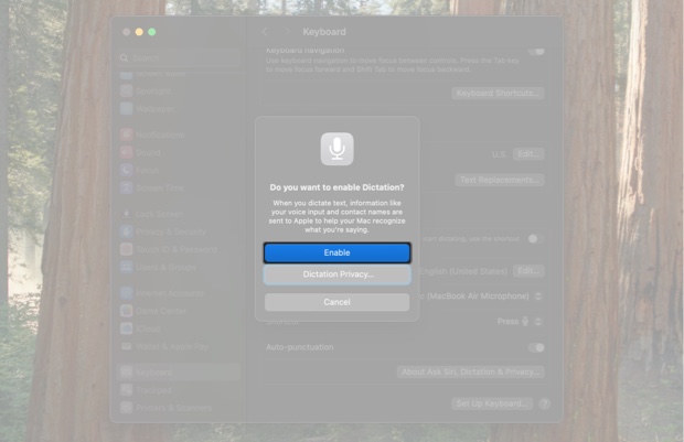 Enabling the dictation feature on a mac