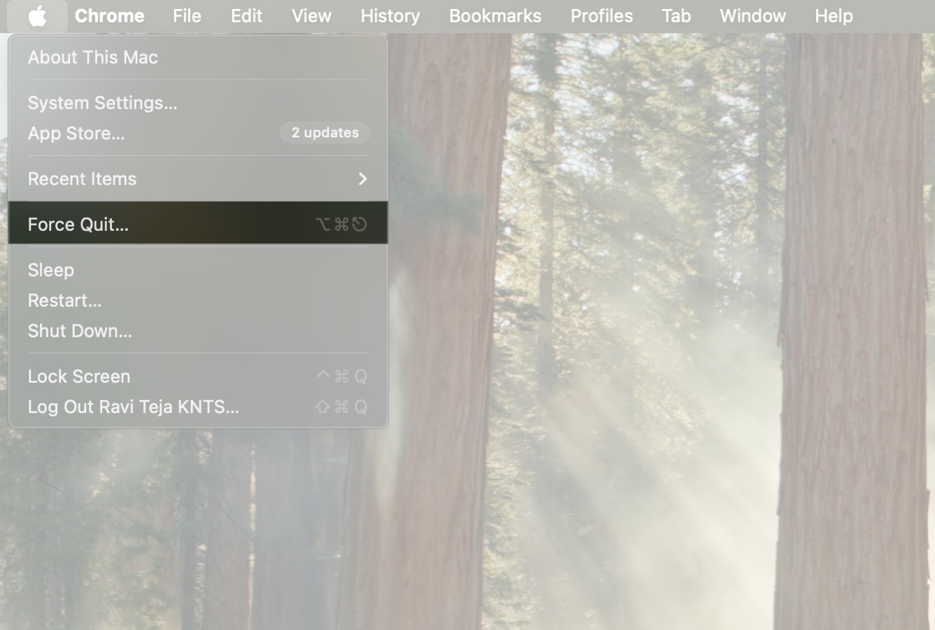 Accessing the force quit applications window on a mac from the apple menu