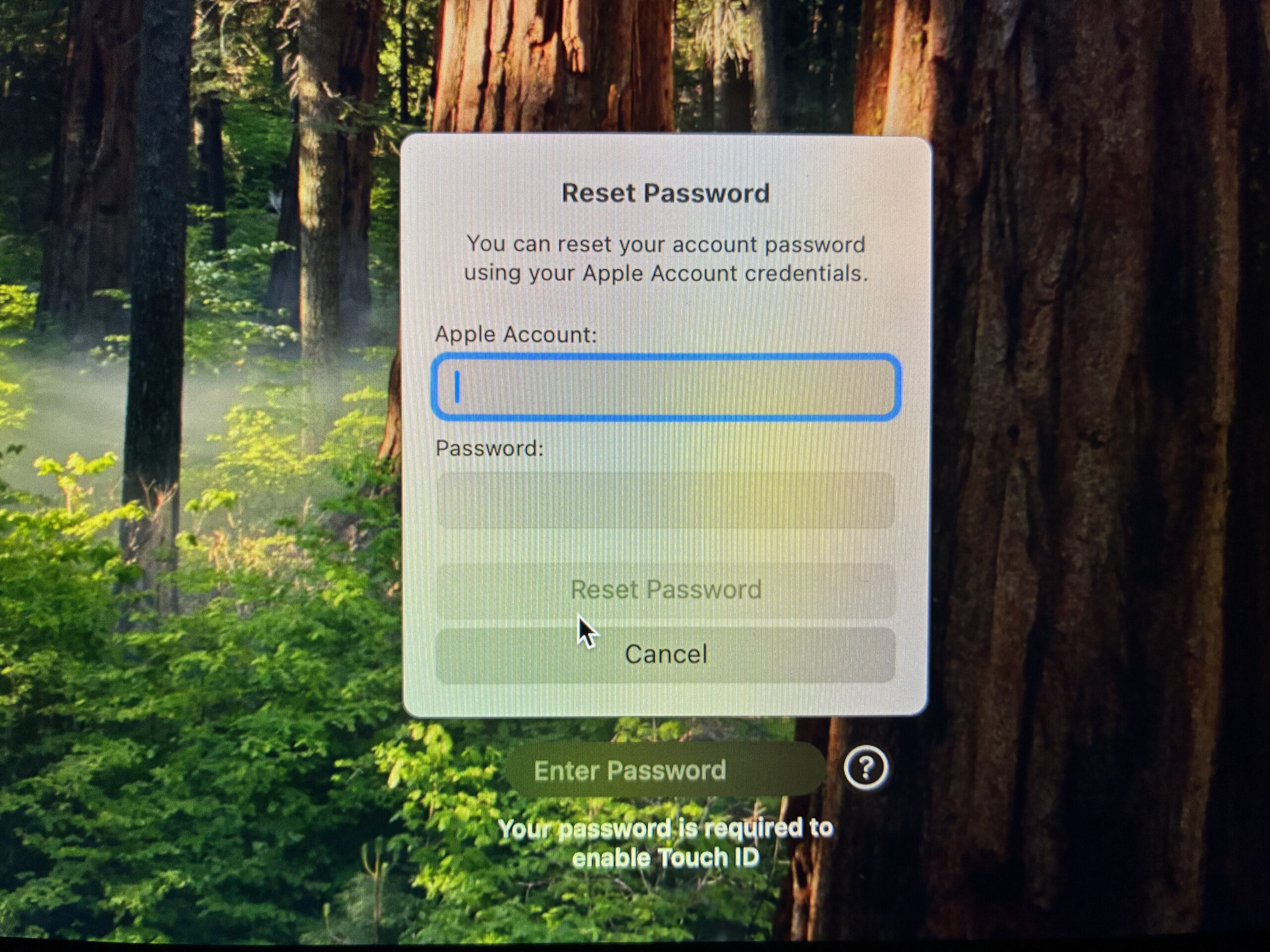 Logging in with your apple account to reset its password