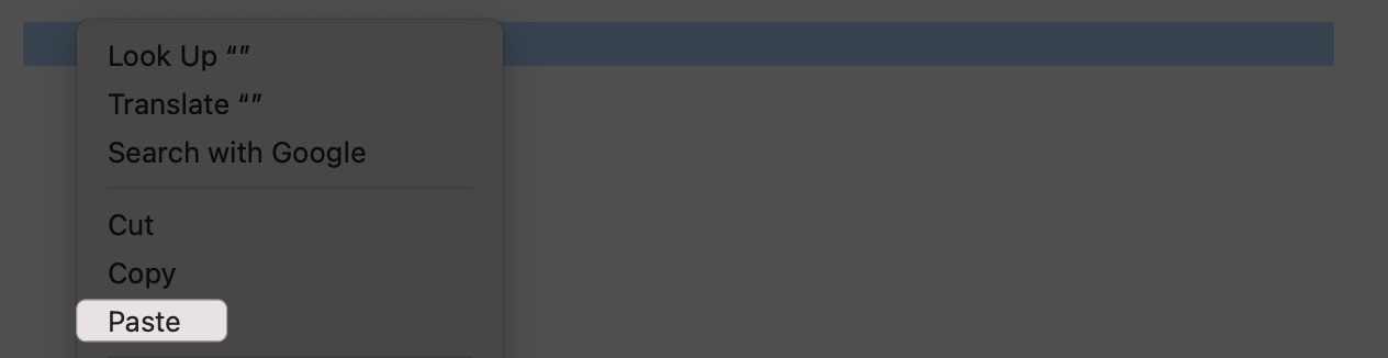 Paste image or text on mac