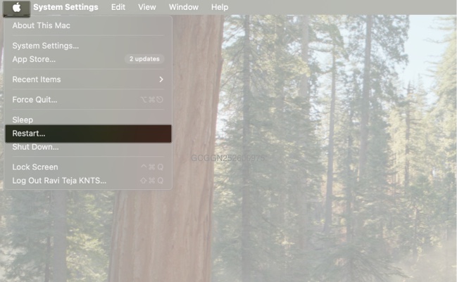 Restarting a mac from the apple menu