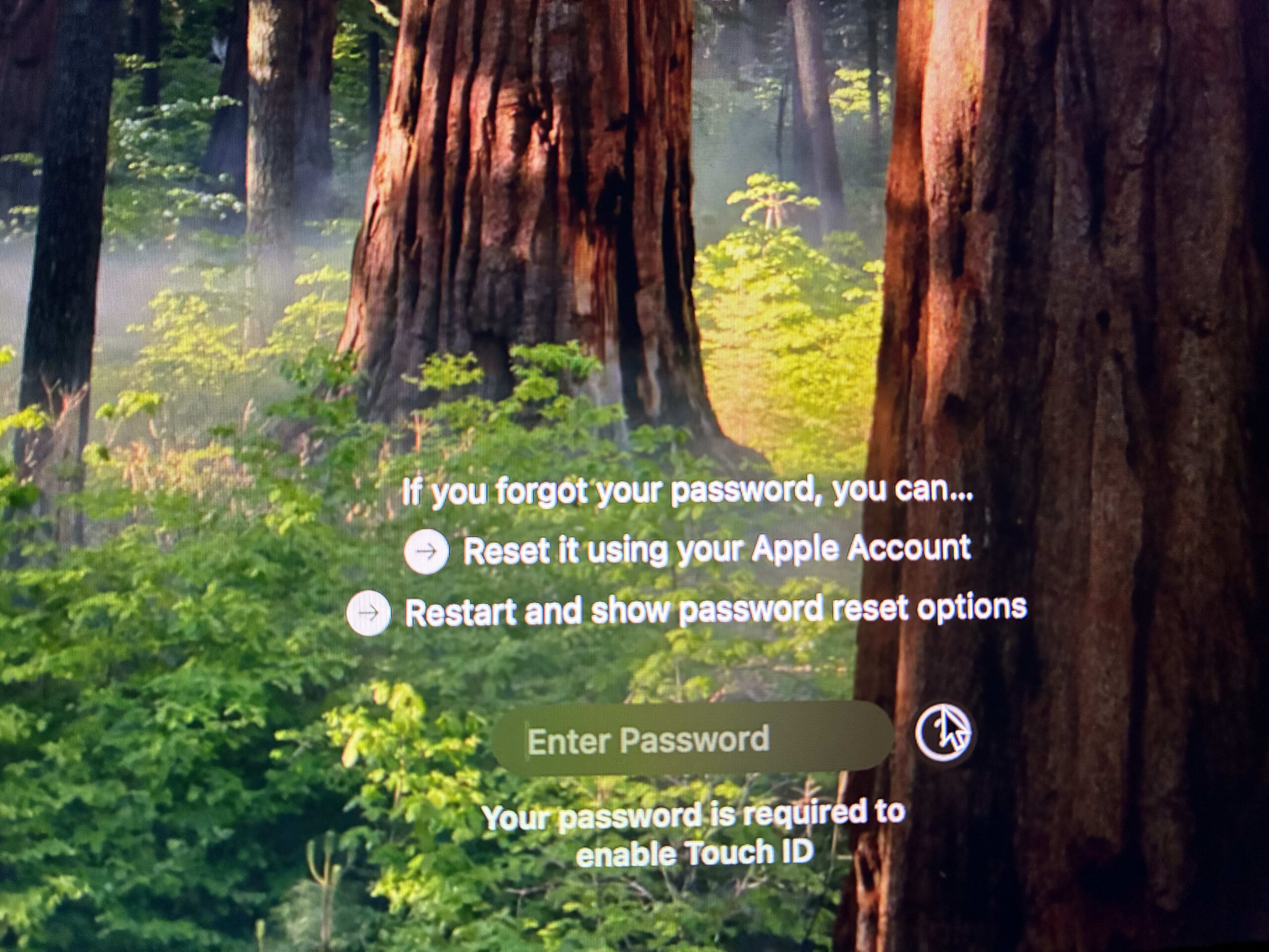 Options available upon clicking the question mark icon on the macos login screen