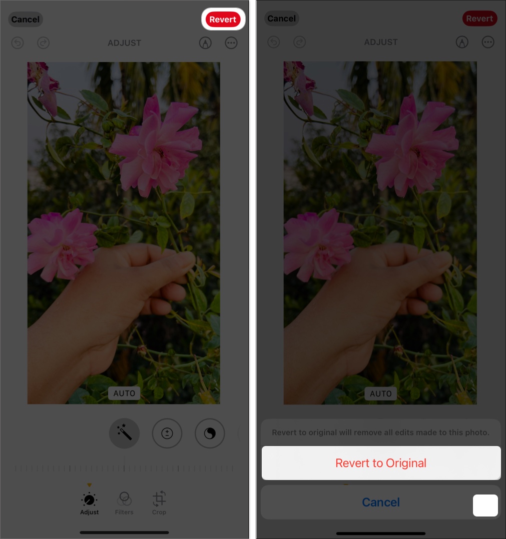Revert to original image