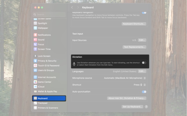 Dictation option under keyboard settings in macos system settings app