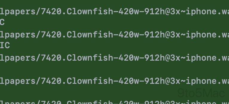 Clownfish wallpaper asset ios 26 beta 2