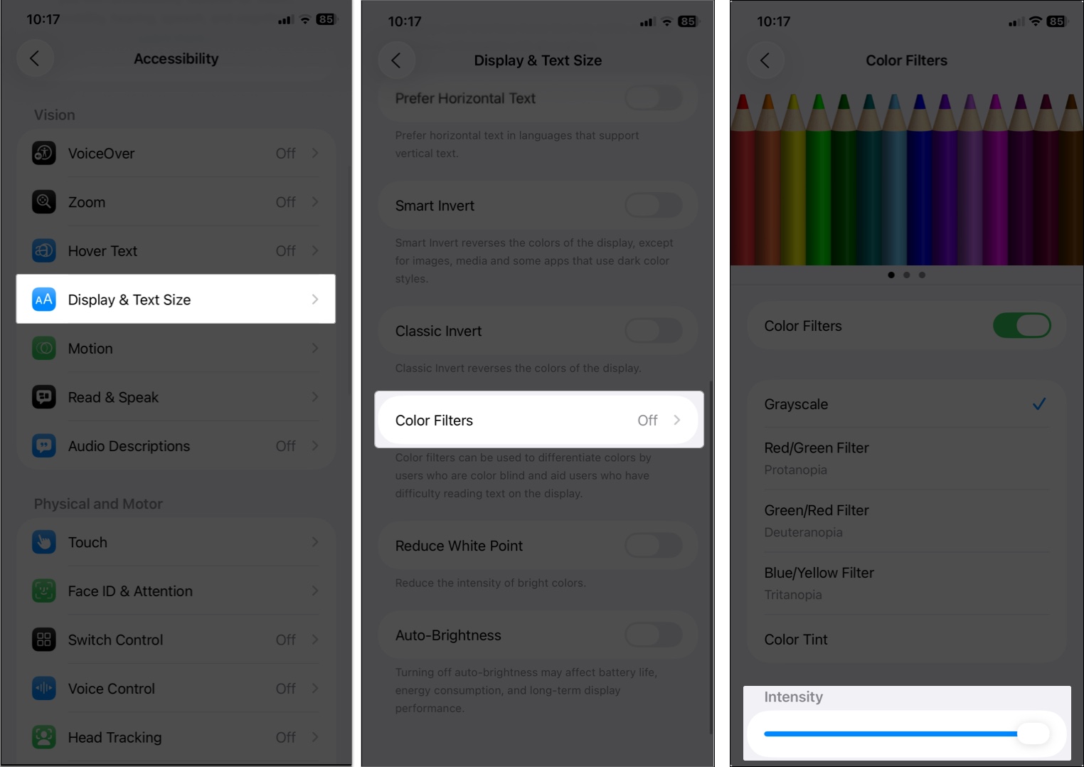 Enable color filters in accessibility shortcut in iphone or ipad