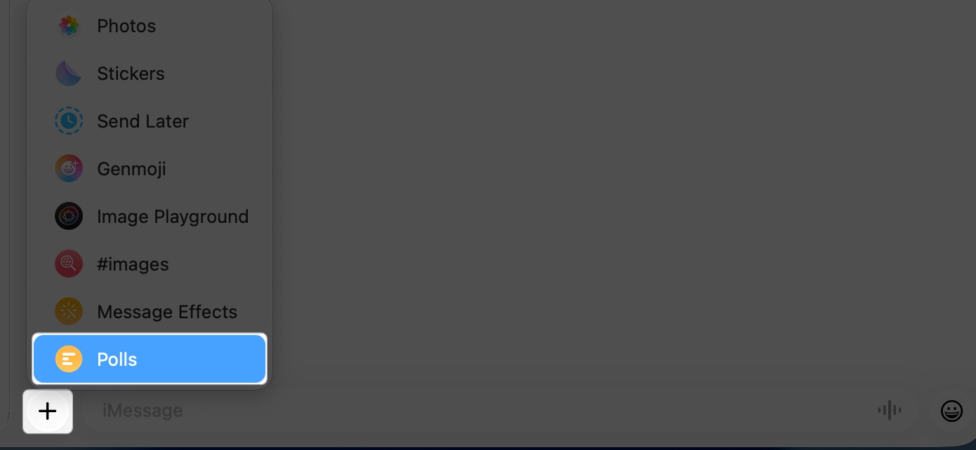 Launch messages app and tap plus icon in group chat on ipad