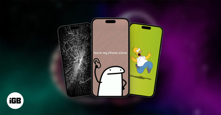 Best Funny iPhone Wallpaper.