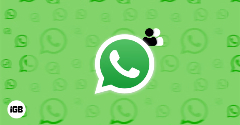 WhatsApp Supports Two Accounts on One iPhone