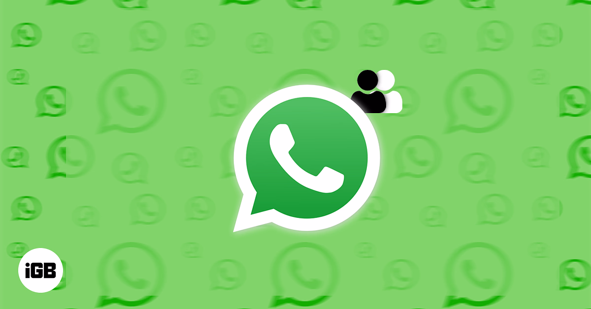 WhatsApp Supports Two Accounts on One iPhone
